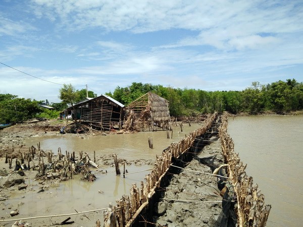 Biến[-]đổi[-]khí[-]hậu:[-]Kiên[-]Giang[-]ngăn[-]chặn[-]sạt[-]lở[-]ven[-]biển[-]
